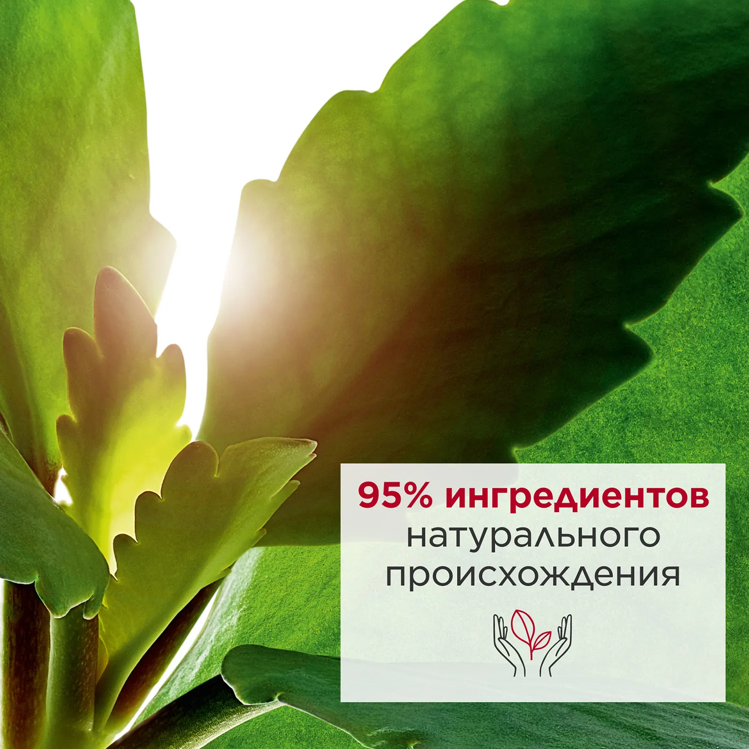 Fresh Scrub Освежающий отшелушивающий крем для лица 