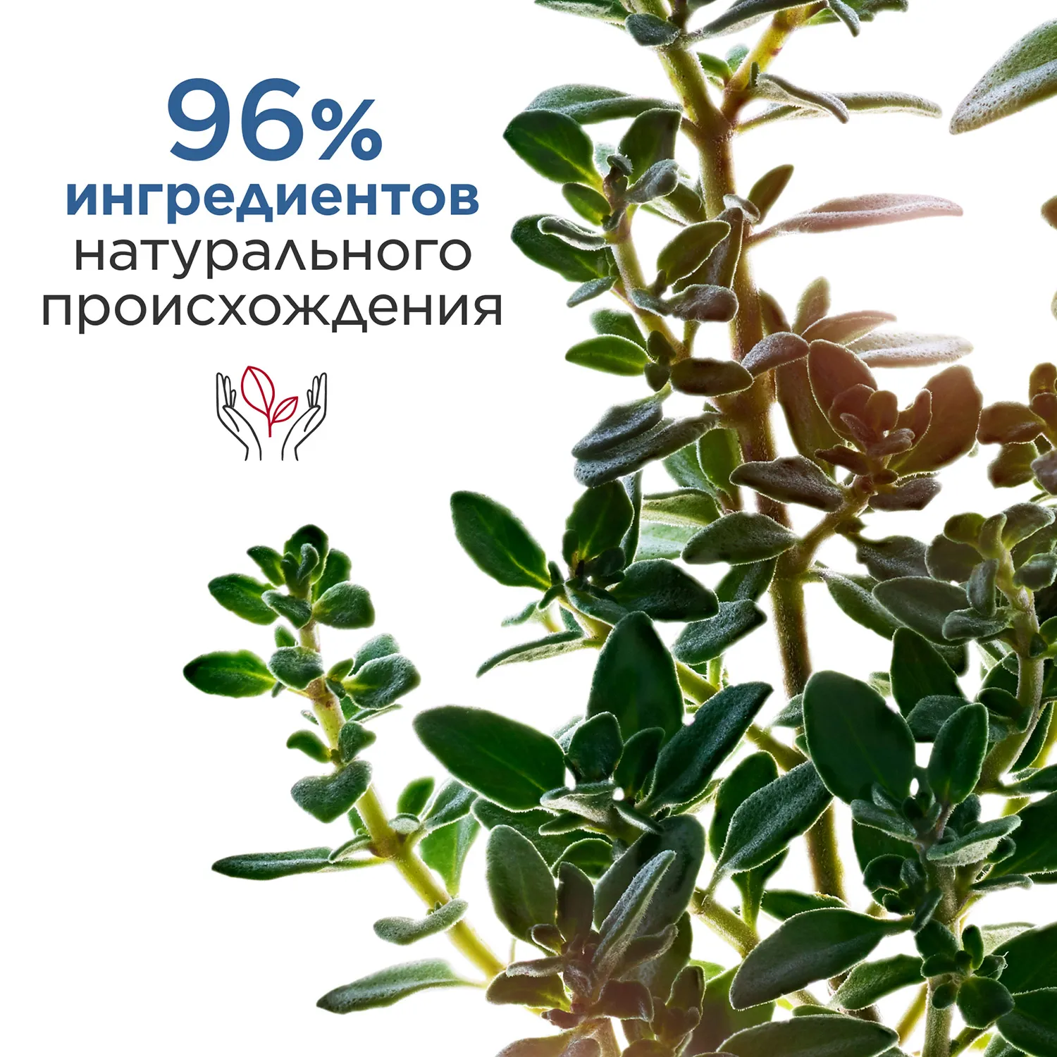 MEN Soin Lissant Rides Fermete Концентрат для лица против морщин