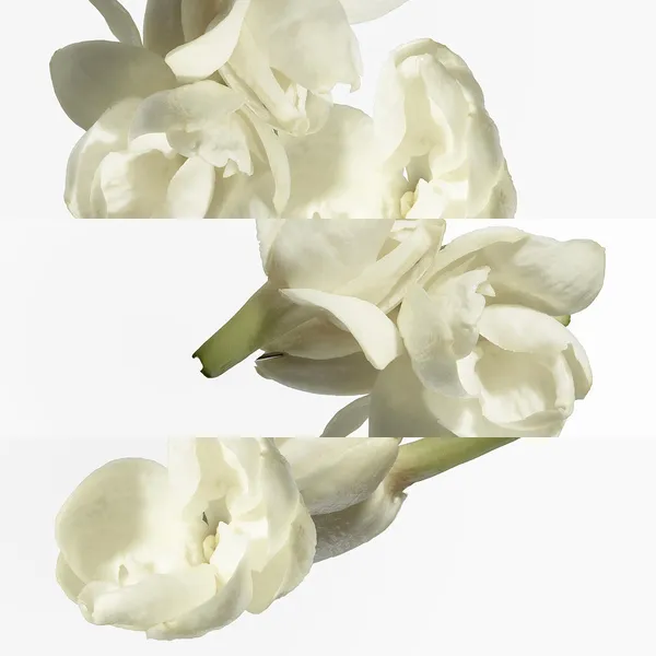 Le Jardin de Monsieur Li Туалетная вода