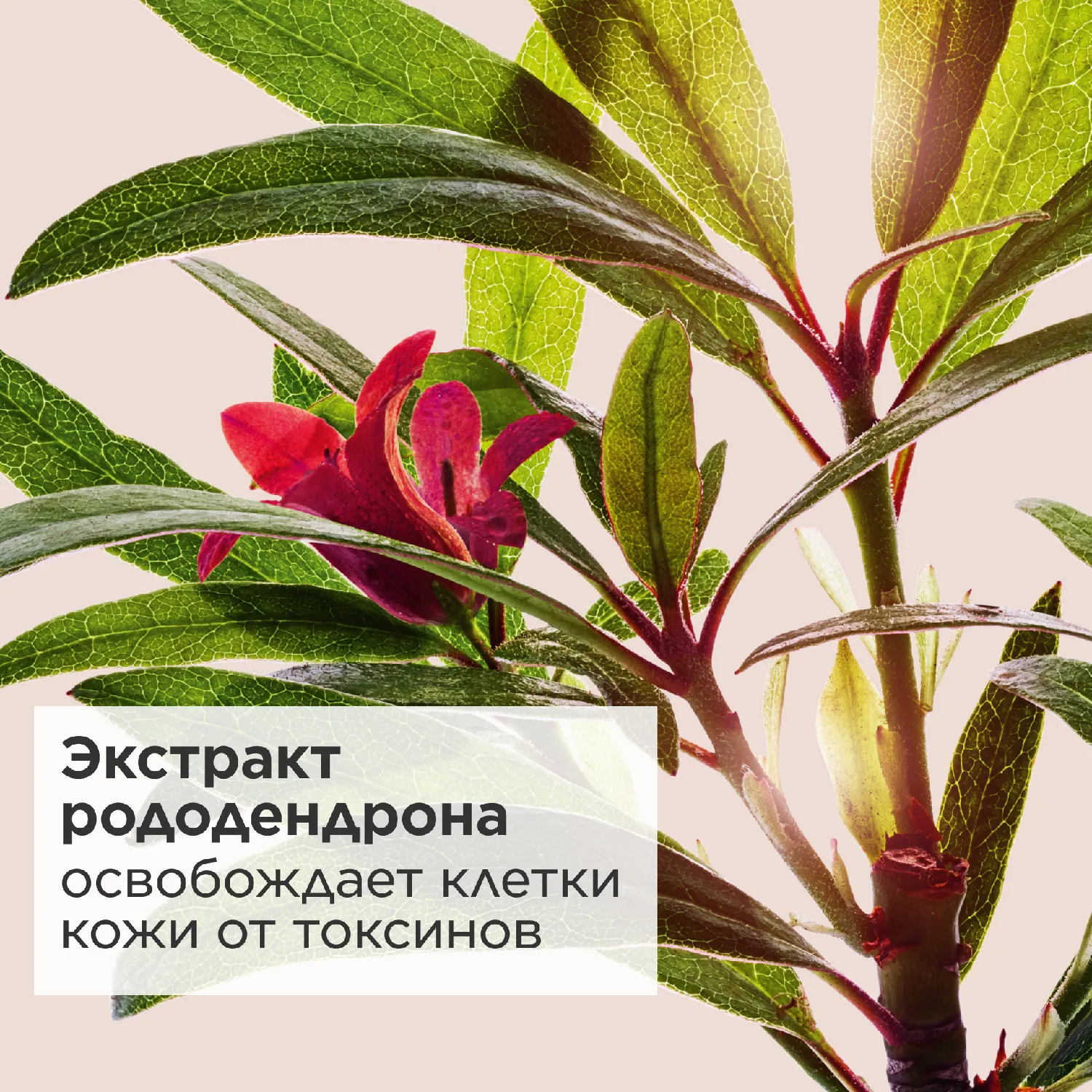 Fix' Make-Up Π€ΠΈΠΊΡΠ°ΡΠΎΡ Π΄Π»Ρ ΠΌΠ°ΠΊΠΈΡΠΆΠ°