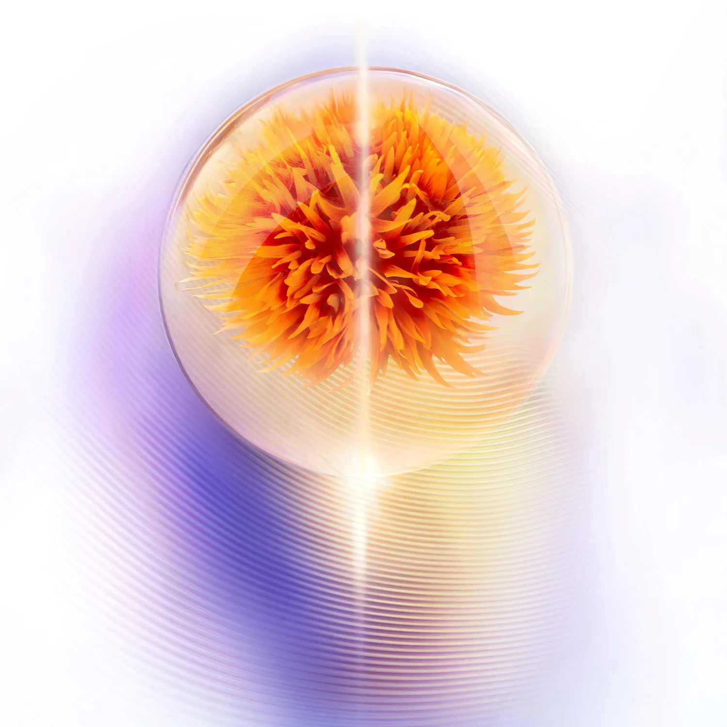 Vital Perfection Advanced Лифтинг-крем, повышающий упругость кожи