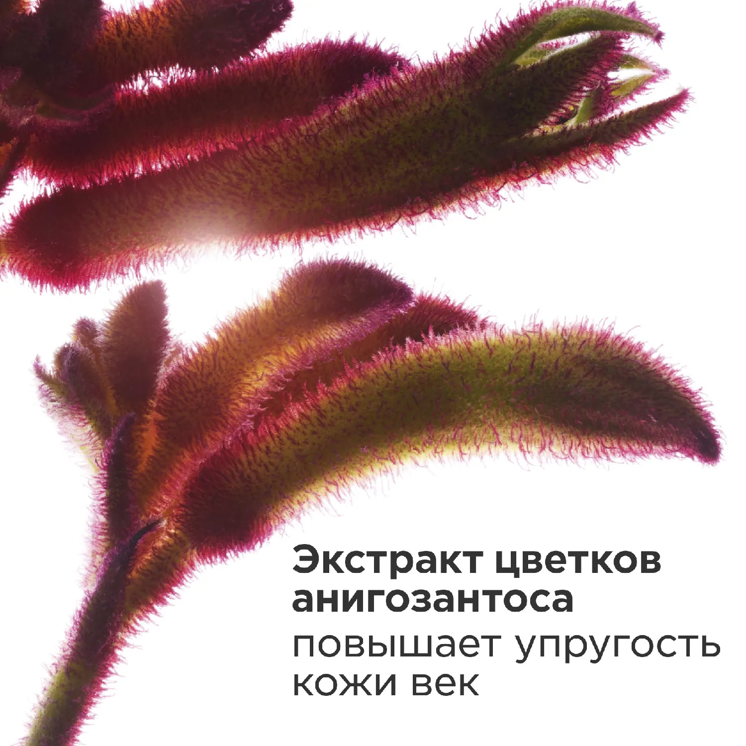 Total Eye Smooth Бальзам против морщин для кожи вокруг глаз