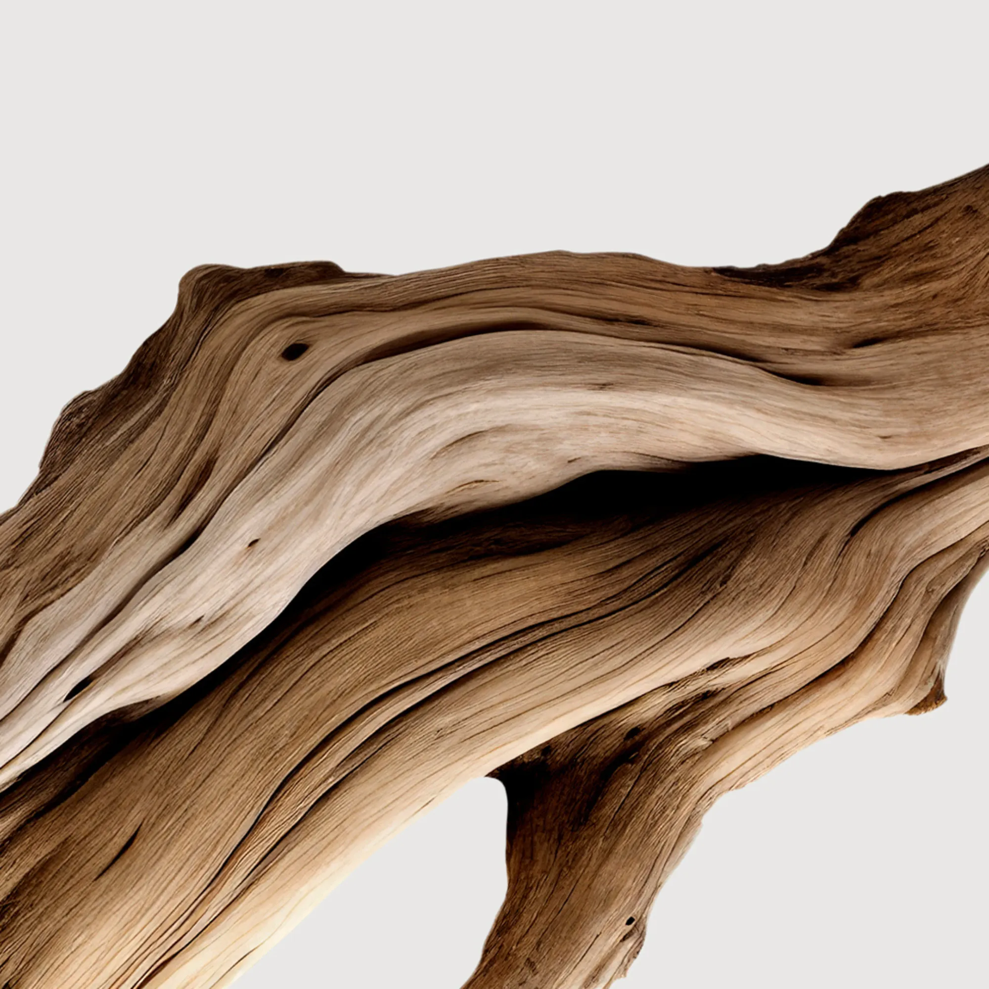 SANTAL AUSTRAL Парфюмерный экстракт