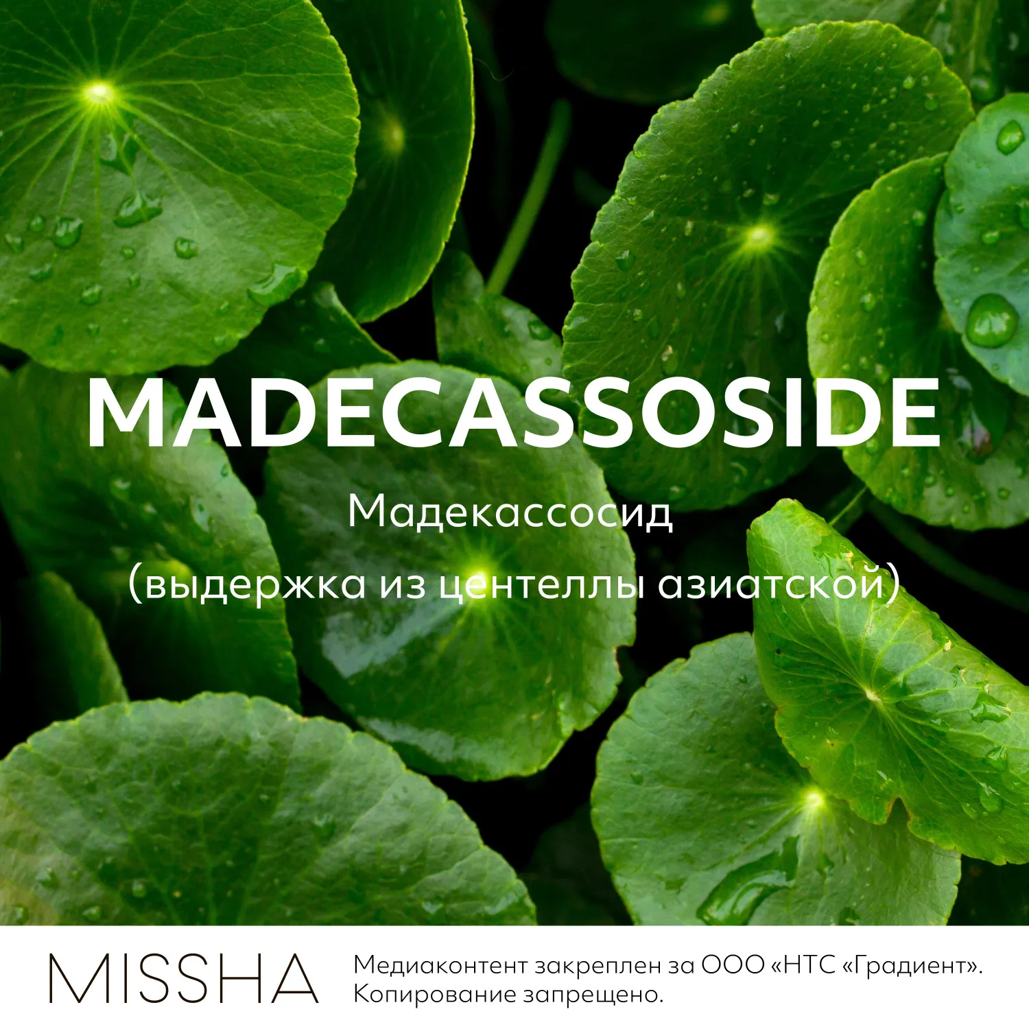 Mascure SOS Маска с мадекаccосидом для восстановления ослабленной кожи