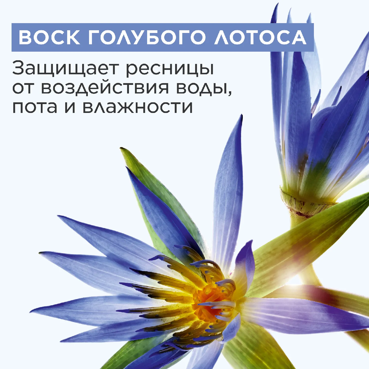 Wonder Perfect Waterproof Водостойкая тушь для ресниц с эффектом 4D