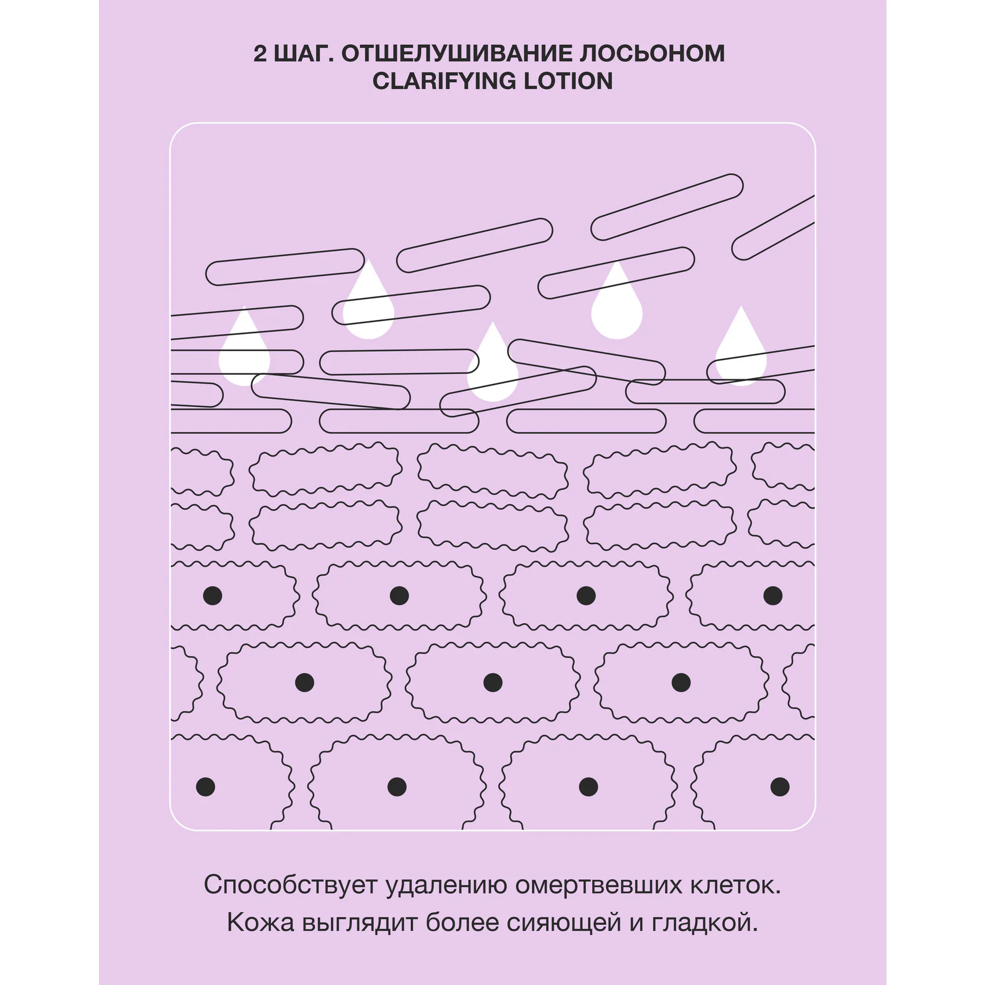 Clarifying Lotion Twice A Day Exfoliator 1.0 Отшелушивающий лосьон для чувствительной кожи