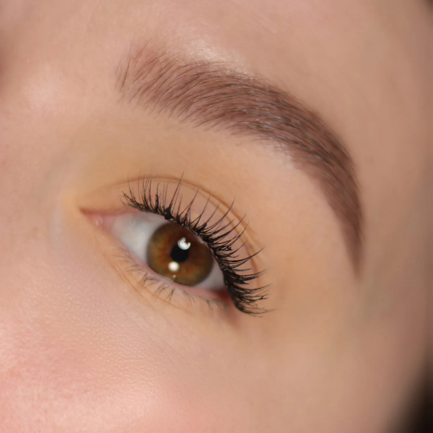 Seta Тени для век