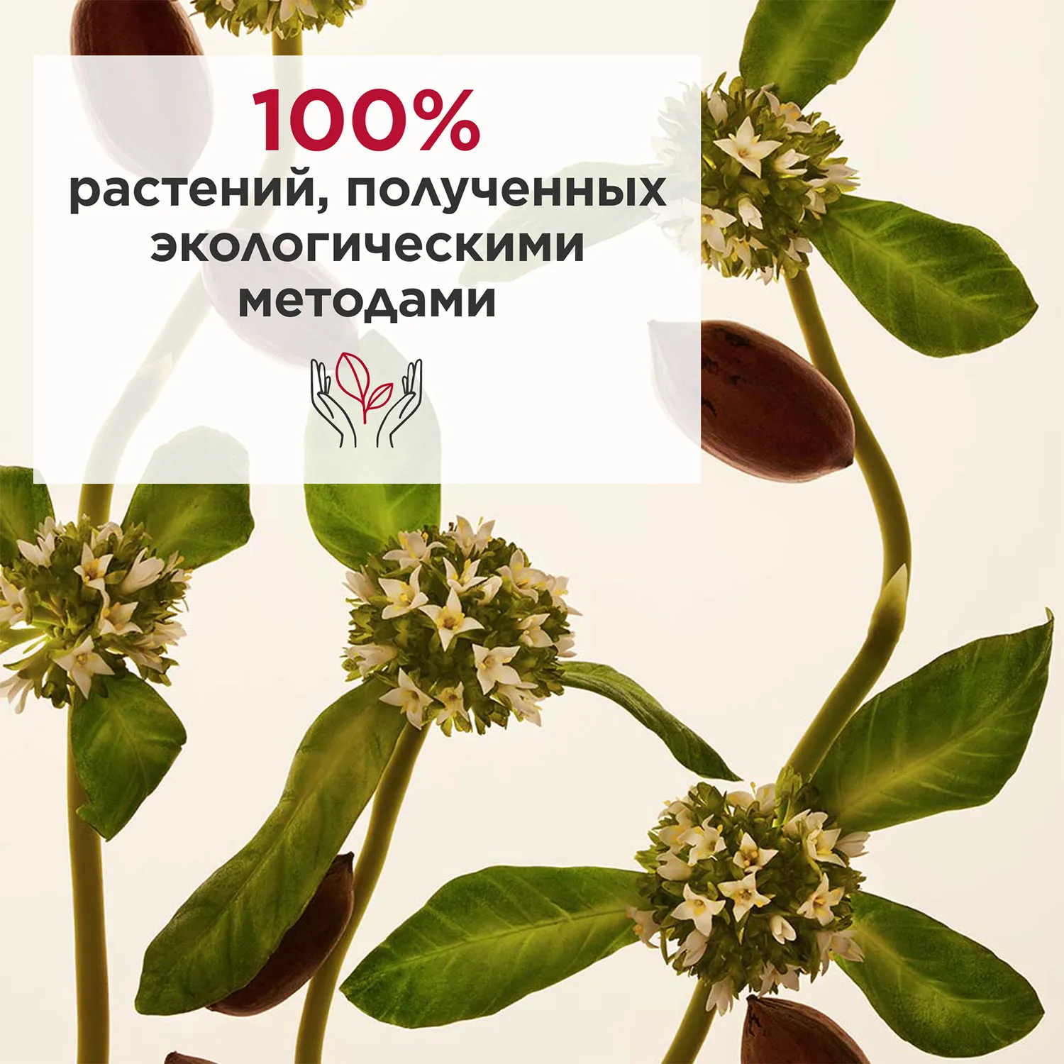 Extra-Firming Регенерирующий дневной крем для лица для любого типа кожи SPF 15