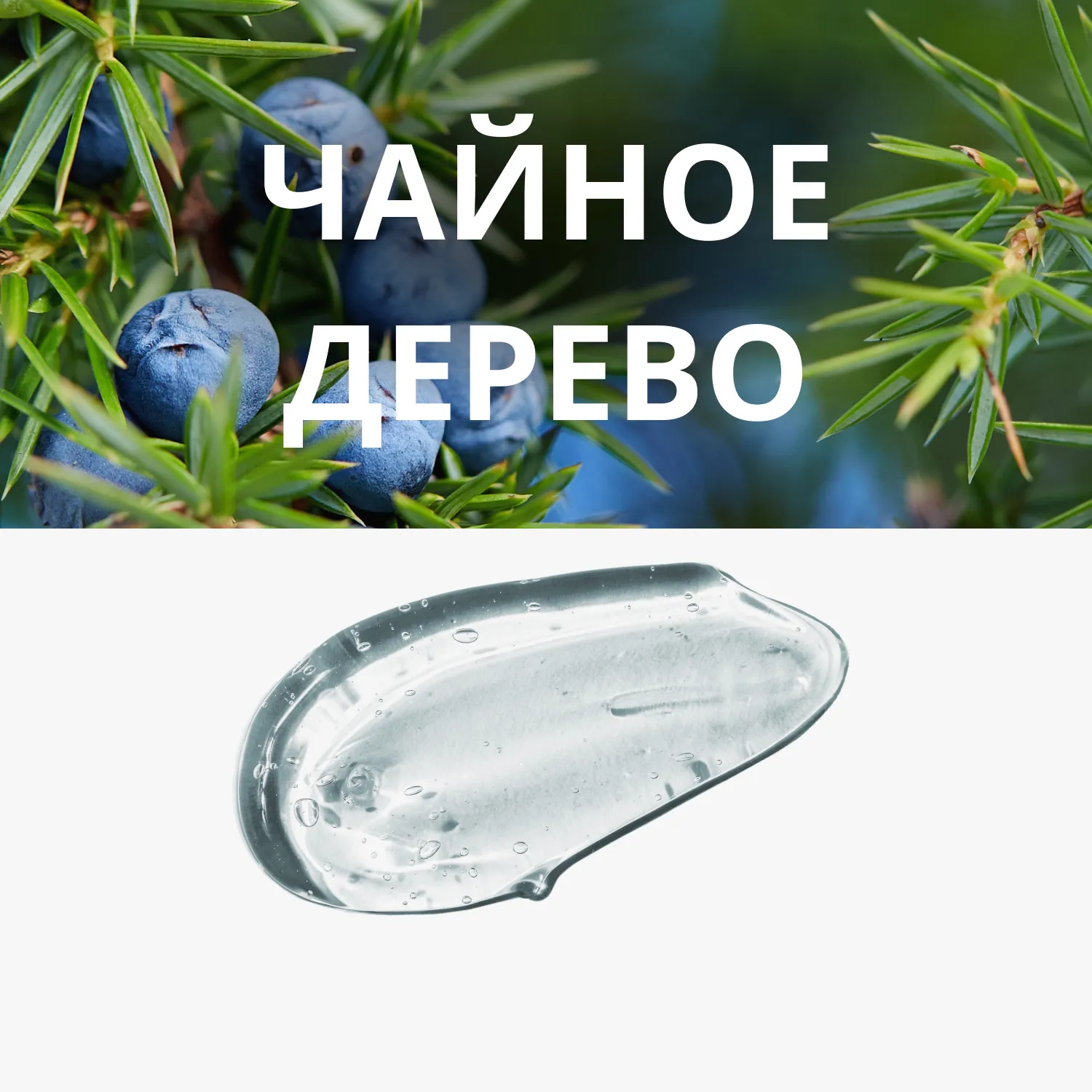 Pure Source Маска кремовая ночная с экстрактом чайного дерева