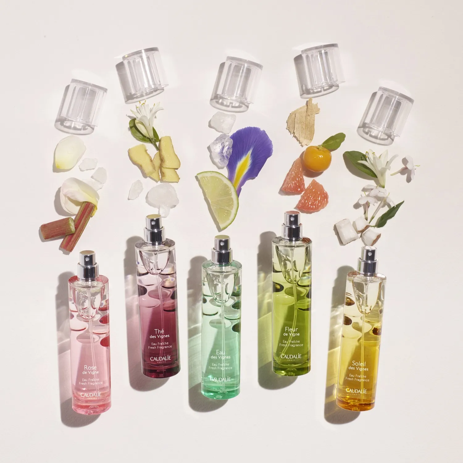 FRESH FRAGRANCE ROSE DE VIGNE Оcвежающая вода