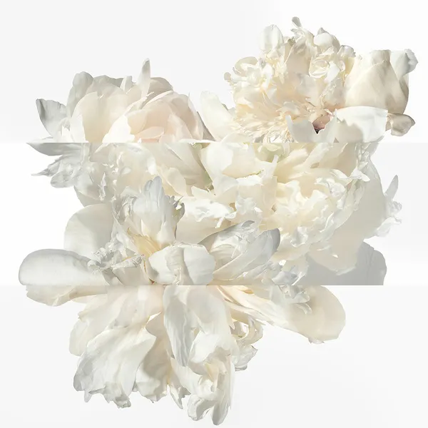 Twilly Eau Ginger Парфюмерная вода