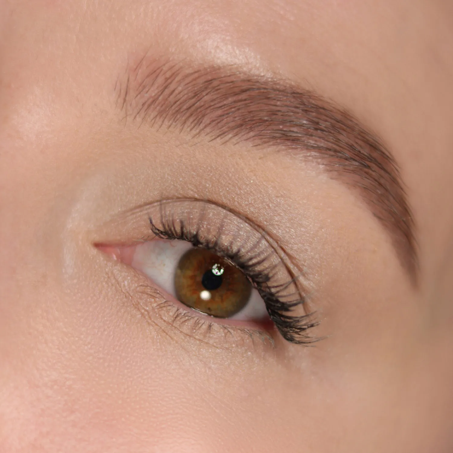 Seta Тени для век 