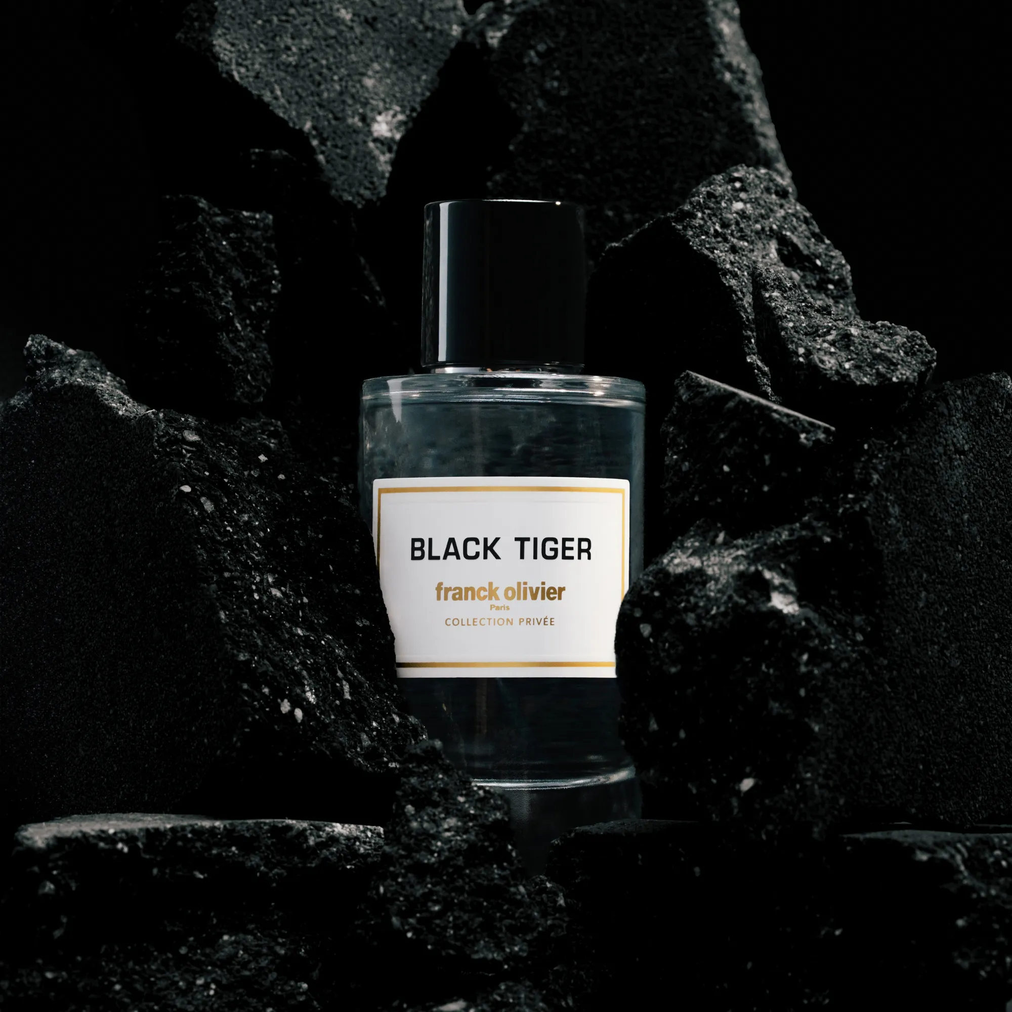 BLACK TIGER Парфюмерная вода