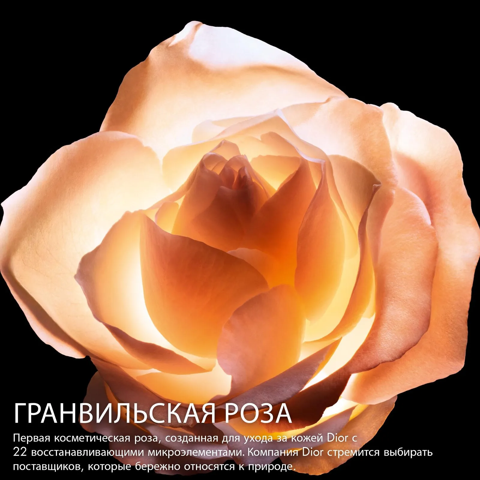 Dior Prestige Le Concentre Yeux Интенсивный крем для кожи вокруг глаз