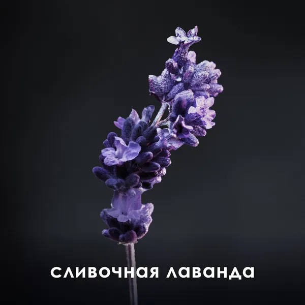 Phantom Туалетная вода