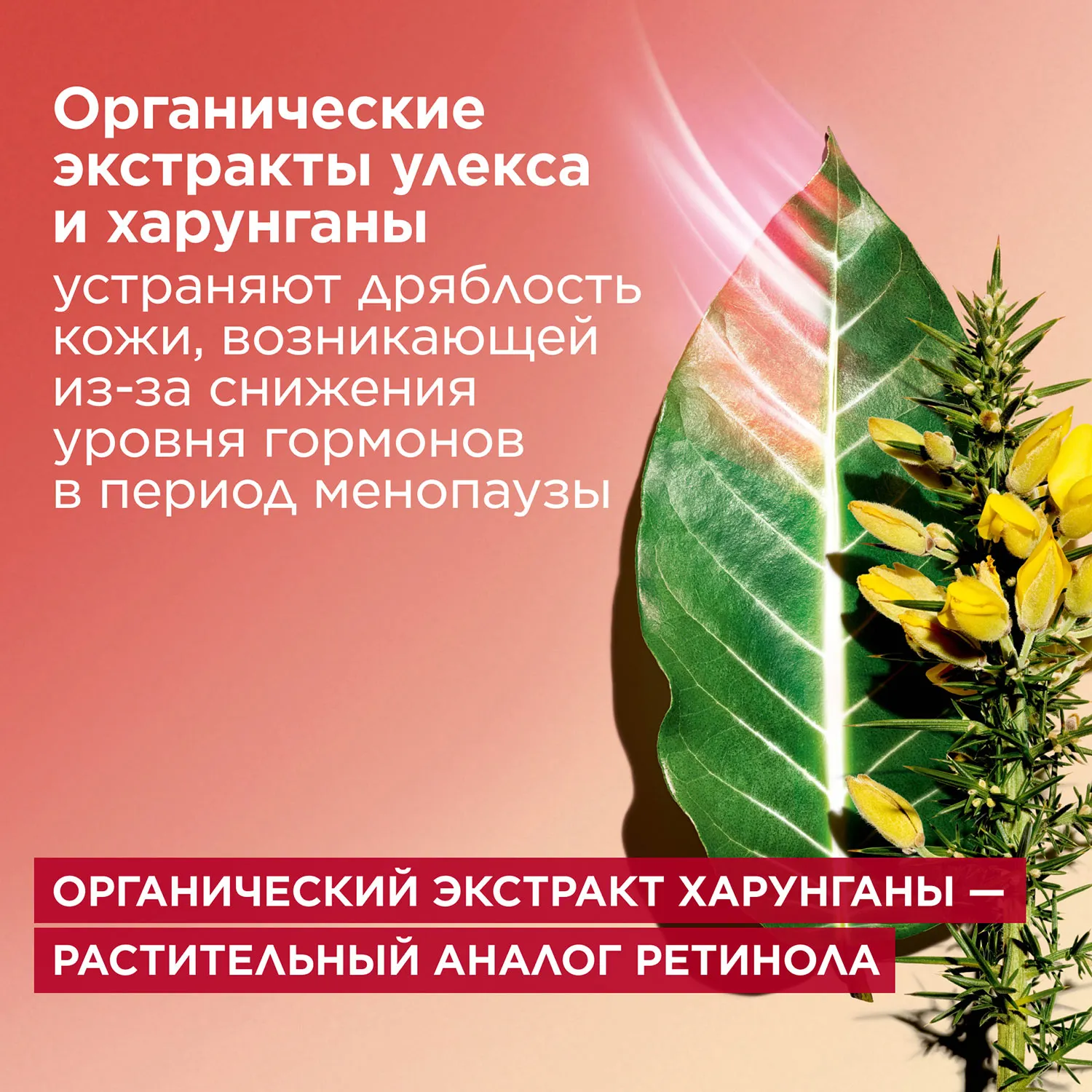 Multi-Intensive Восстанавливающий дневной крем с эффектом лифтинга и сияния для любого типа кожи