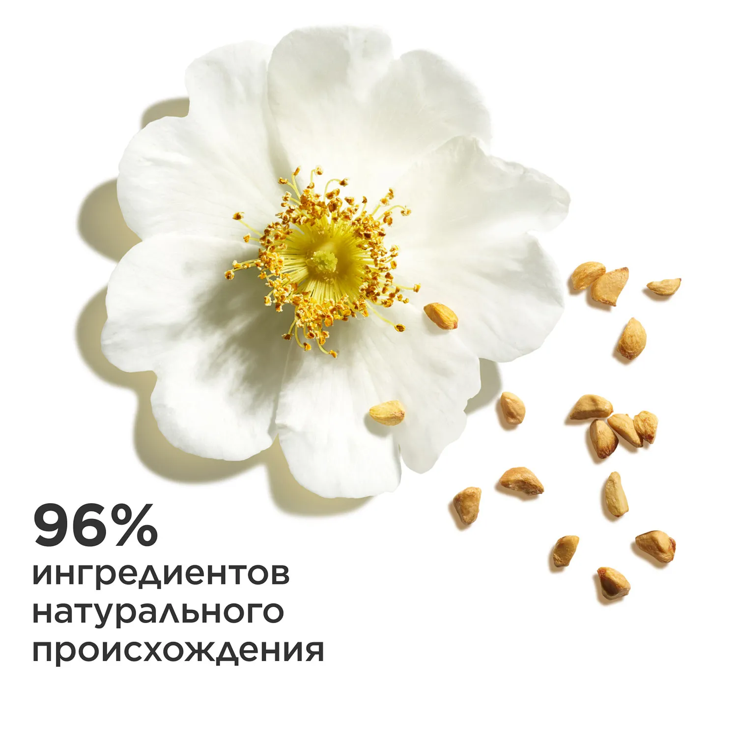 Lip Oil Balm Бальзам для губ на основе масел