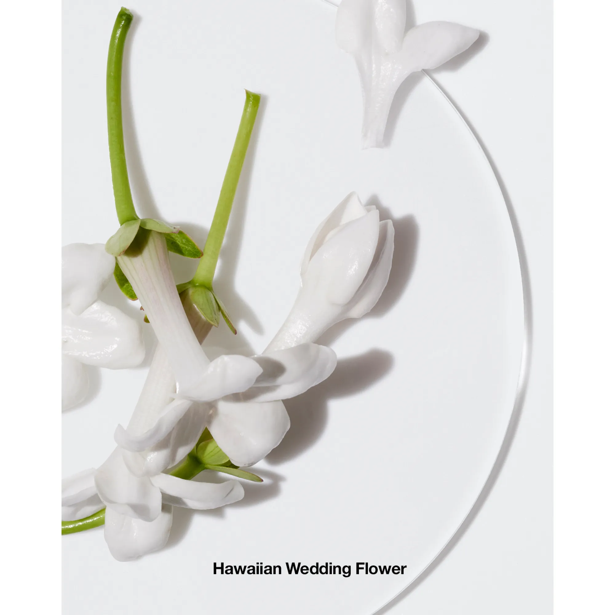 Happy Парфюмерная вода