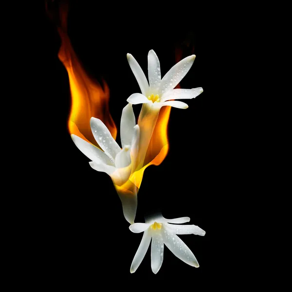 1 Million Parfum Парфюмерная вода