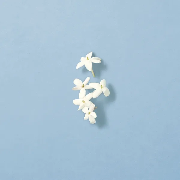 OCEAN DI GIOIA Парфюмерная вода