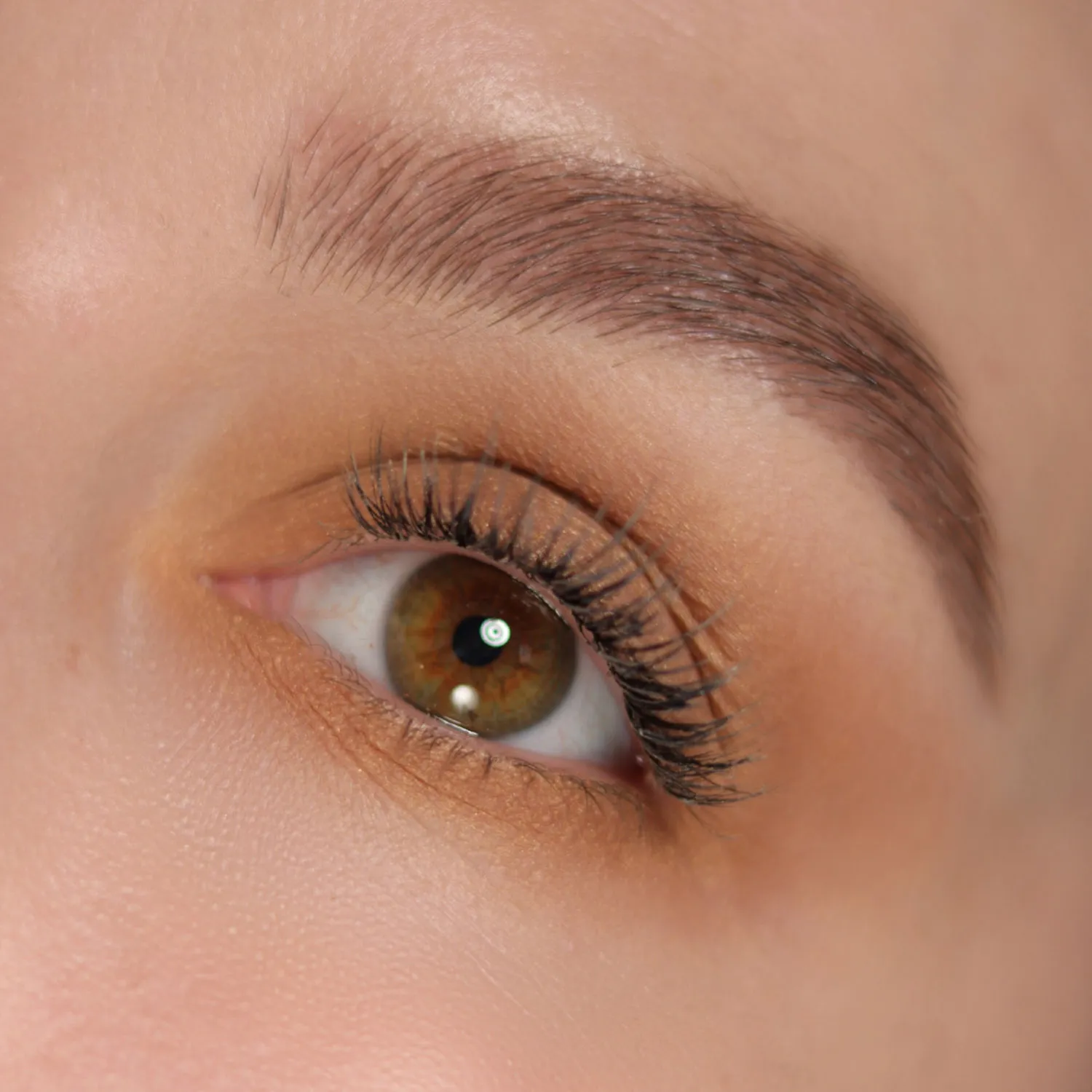 Seta Тени для век 