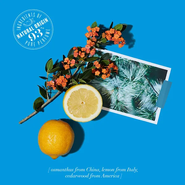 LOVE OSMANTHUS Парфюмерная вода