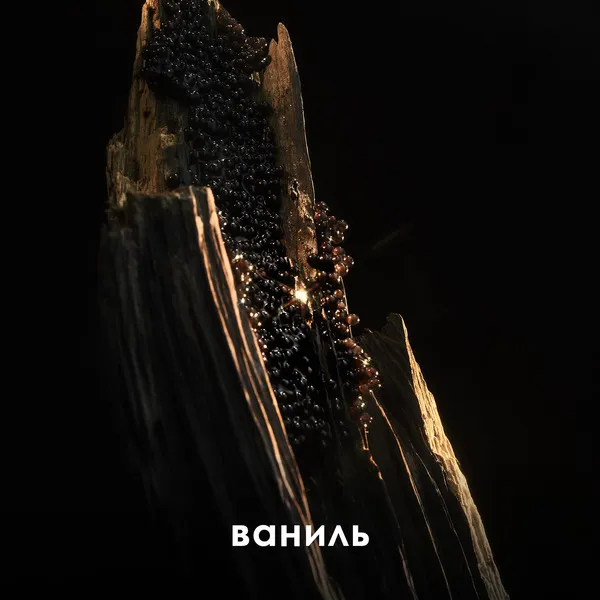 Lady Million Fabulous Парфюмерная вода