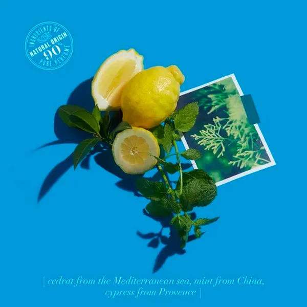 CEDRAT ENIVRANT Парфюмерная вода