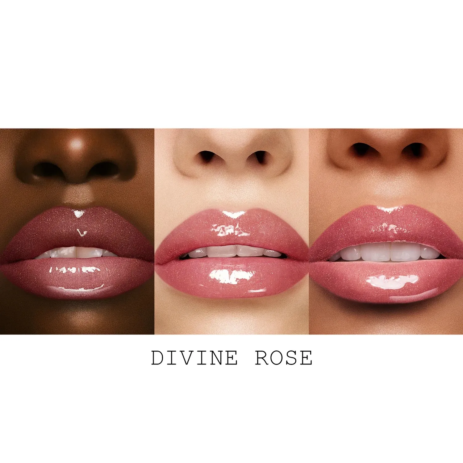 DIVINE ROSE: JET-SET KIT Набор