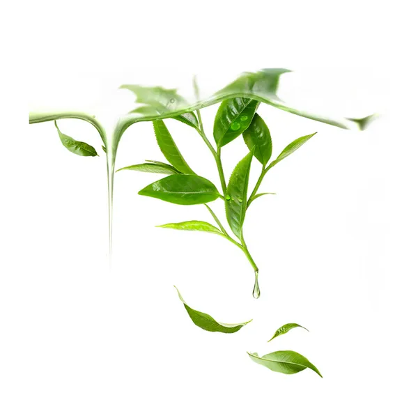 GREEN TEA Очищающая маска для лица для UFO