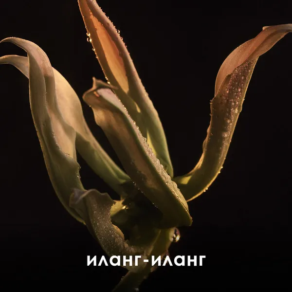 Lady Million Fabulous Парфюмерная вода