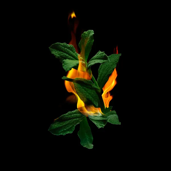 1 Million Parfum Парфюмерная вода