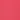 111 Rose Plumage