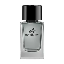 Mr. Burberry Туалетная вода