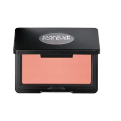 ARTIST FACE POWDERS BLUSH Румяна